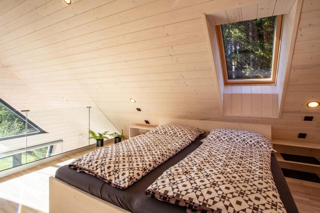 Chalet Belveder Zelezna Ruda Martina 外观 照片