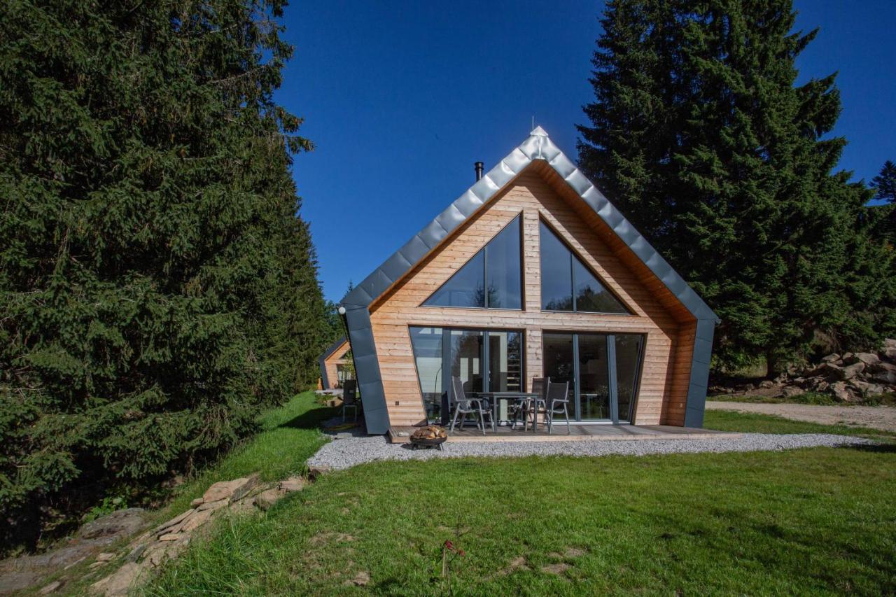 Chalet Belveder Zelezna Ruda Martina 外观 照片